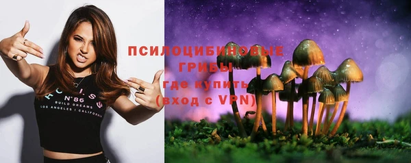 амф Заволжье