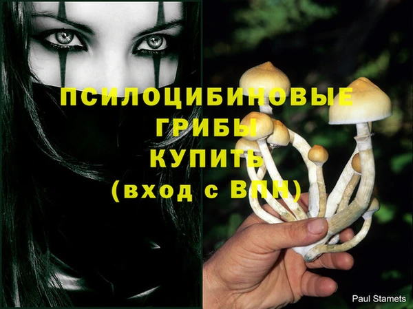 spice Заводоуковск