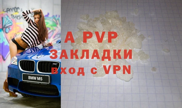 амф Заволжье