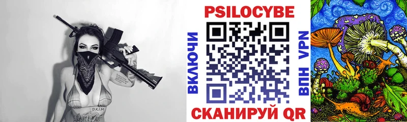 Купить где Никольск Псилоцибиновые грибы MAGIC MUSHROOMS