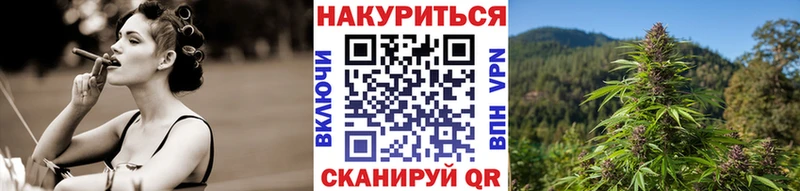 Бошки марихуана Amnesia  Купить закладки  Никольск 